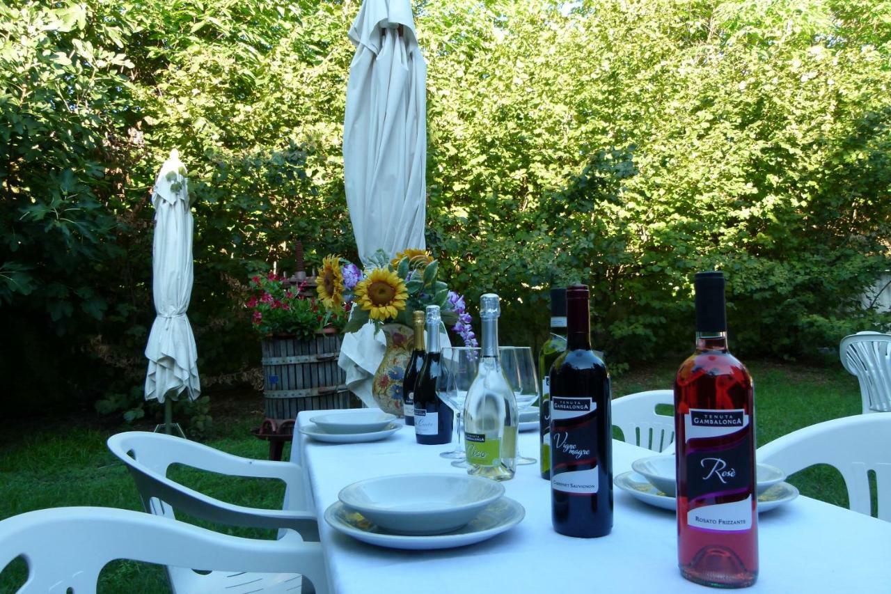 Tenuta Gambalonga * Cinto Euganeo